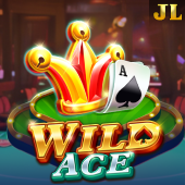 Wild Ace on 1xbit